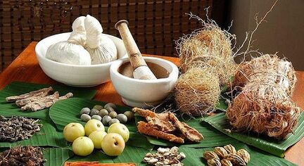 Folk medicines against body parasites