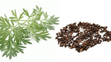 Cloves and worm to eliminate parasites from the body